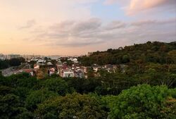 Dunearn Road (D11), Condominium #559103211